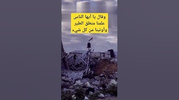 القرآن الكريم راحة نفسية نسأل الله تعالى حسن الخاتمه #الحمدلله #سبحانالله #في #القرآن_الكريم #تيك
