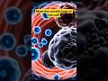Meet the cell's "Suicide Bag!" 💣 Lysosomes: the ultimate recycling center. 🧬✨ #ScienceWithSudip #Bio