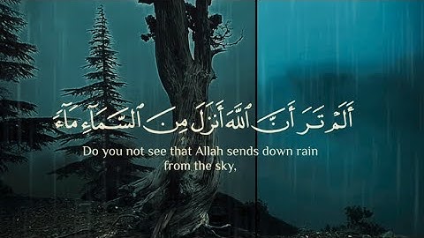 ألم تر أن الله أنزل من السماء ماءً 🌧️ | تلاوة تهز القلب