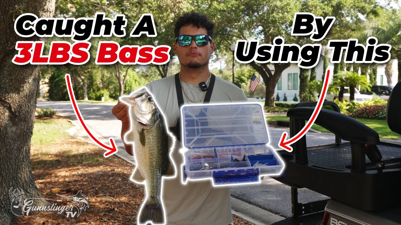 Summer Bass Fishing Showdown: Testing the Ultimate Tackle Box!