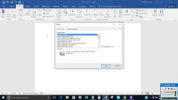 Embed Text file in MS Word document