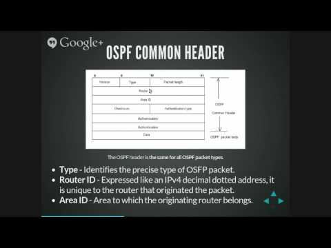 Video: Di cosa tiene traccia la tabella di routing OSPF?