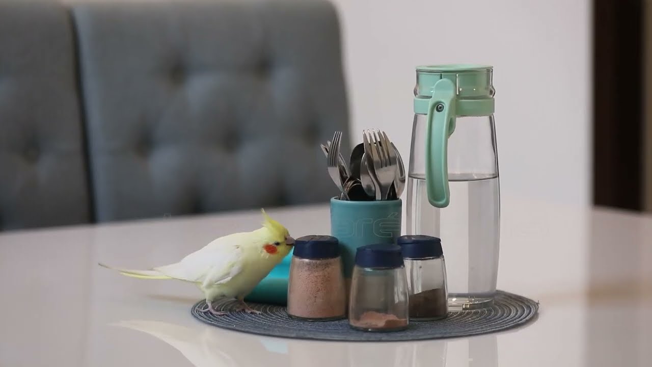 5 BHK LUXURY VILLA IN ADARSH PALM MEADOWS | SARAN'S | DEZIGNARE INDIA-HSR LAYOUT |