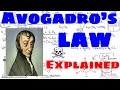 Understanding Avogadro's Law