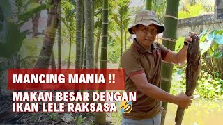 FISHING MANIA‼️Eat big with giant catfish 🤣