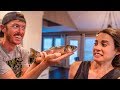 Wild Caught Mountain Fish - Mulit Species Blind Taste Test