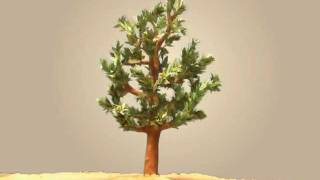 save paper save tree 2.mpg