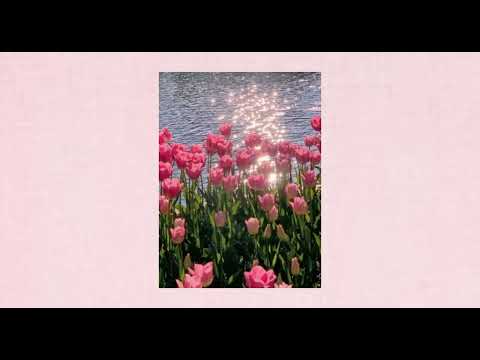 Stephen Dawes -