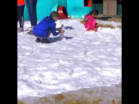Real Snow Days