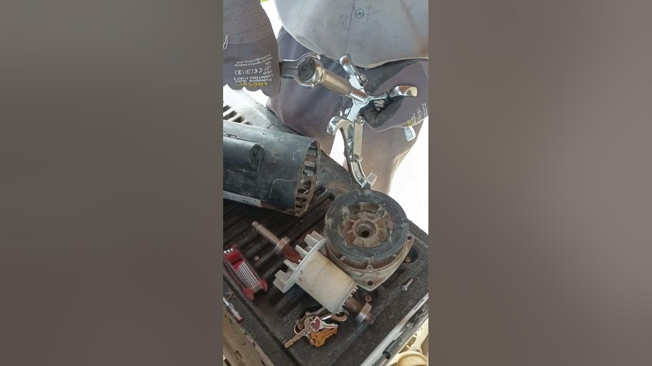 replacing pool motor bearings. YouTube