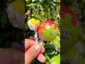 Puzzle Lollipop &amp; Eye Lollipop 🍭👀 | Oddly Satisfying ASMR Video #shorts #lollipop #oddlysatisfying