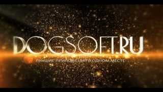 DogSoft.RU - промо ролик screenshot 4