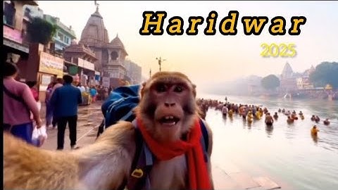 "Haridwar Funny Monkey Vlog 😂 | Bandar Ki "Masti in Haridwar | Travel Comedy Vlog 2025"