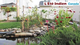 40 L'Été Indien, Dis Moi Ce Qui Ne Va Pas  Fall Garden Canada