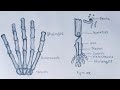 Class 9 Biology 14th Week Assignment Answer | Class 9 Biology Assignment 2021 | Assignment Drawing.