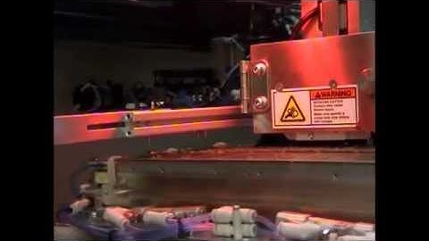 IDM [In-Line Dicing machine for PCBs with long or continuous Tabs}