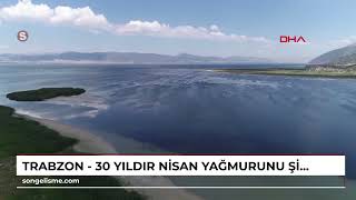 Trabzon - 30 yıldır nisan yağmurunu şifa niyetine içiyor /Video eklendi