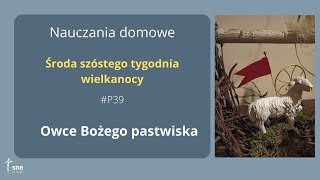 #NauczaniaDomowe - #P39 - Owce Bożego pastwiska - #ArturSepioło - 08.05.2024