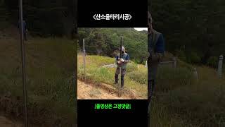 새론철망~산소울타리시공 #shorts