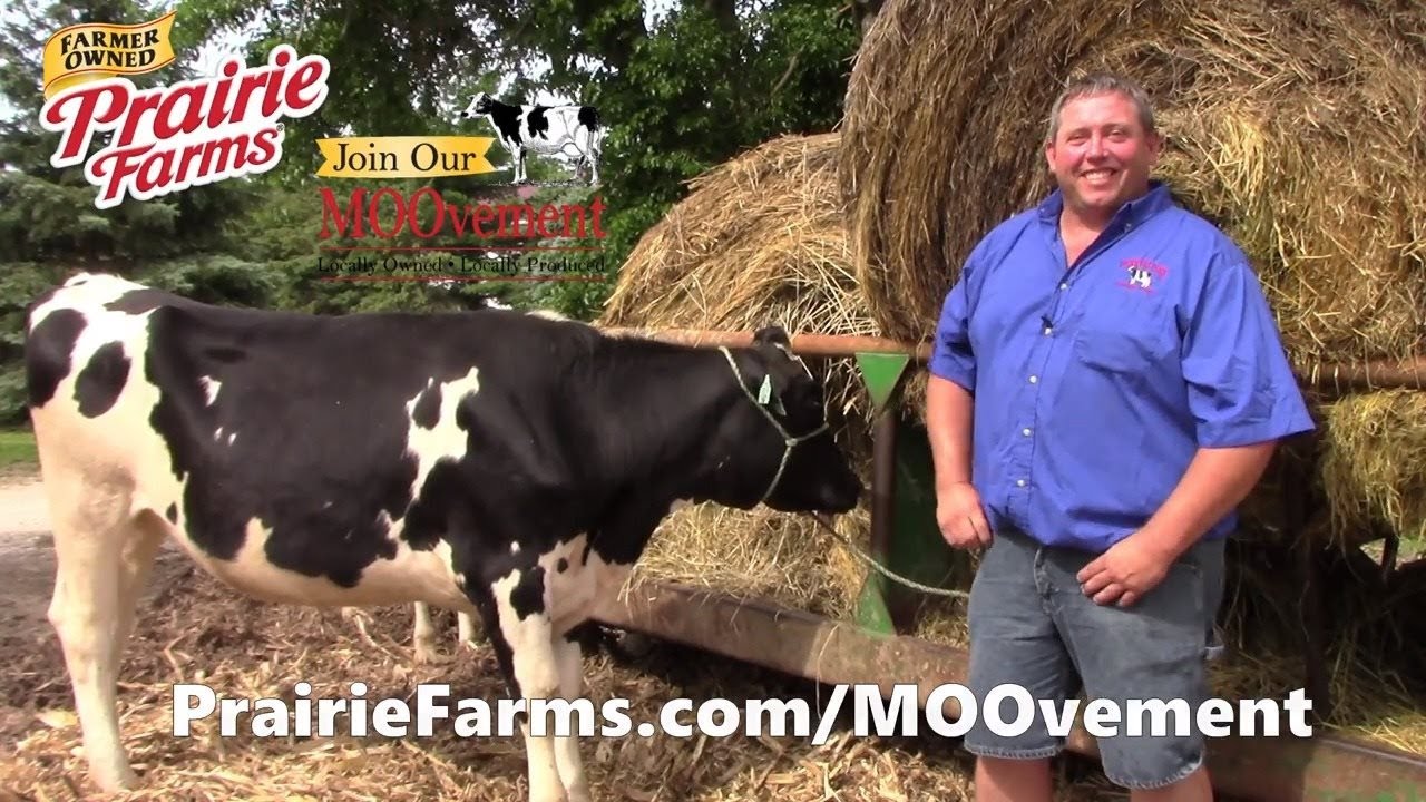 Prairie Farms Udder Hill Dairy Farm To Store In 48 Hours YouTube