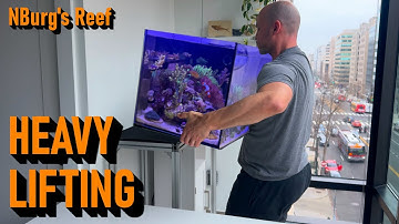 Moving My FijiCube 38g Reef Tank to My Office