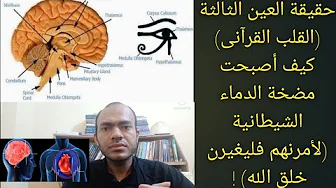 العين الثالثة وحقيقة القلب الذى يعقل (الغدة الصنوبرية) هل القلب والصدر والفؤاد فى الدماغ !!