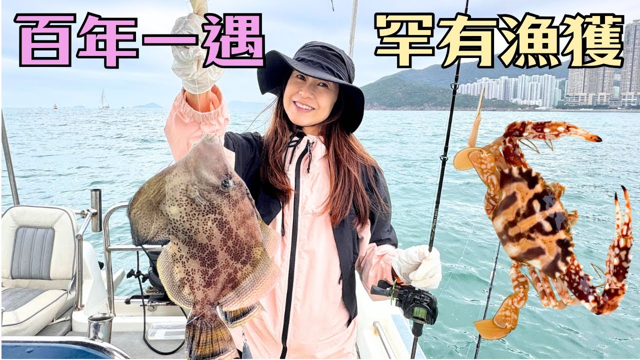 罕遇奇型漁獲🐸百年一遇｜智商稅🤑狂風大浪出蒲台島⛰️｜不知名怪魚🙀求釣魚師兄教路