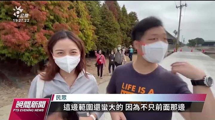 台南六甲落羽松季昨开幕 与邻近花海景观相辉映｜20230115 公视晚间新闻 - 天天要闻