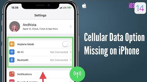 Cellular Data Option Missing on iPhone 7 Plus, 8 Plus, XR, XS Max & 11 Pro Max in iOS 14 [Fixed]