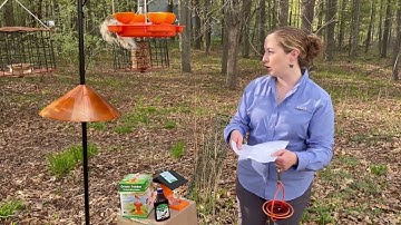 Mondays with Martha #50 - How to Attract Orioles