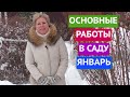 НЕ ЗАБУДЬТЕ СДЕЛАТЬ ЭТО В САДУ В ЯНВАРЕ!