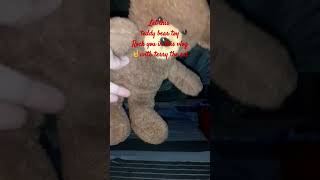 Teddy Bear Rocks In This Vlog