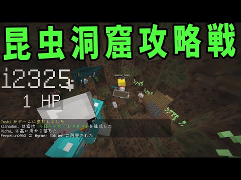 無名雑魚を昆虫が蔓延る虫の巣に突らせる -ドラゴンクラフト#3【KUN】