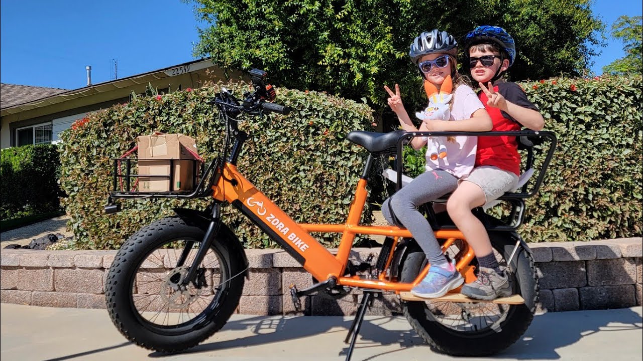 Better than Lectric XPedition : Zora Master Cargo Electric Bike