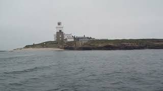 Puffin Cruise