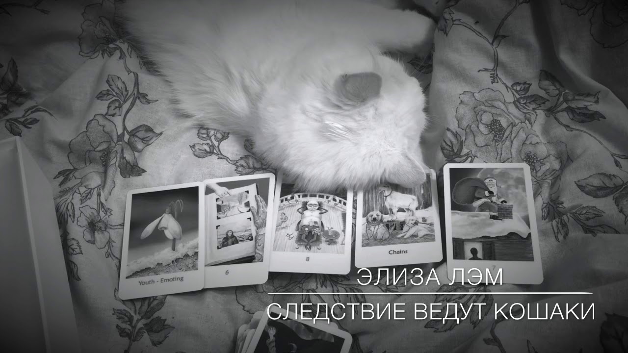 Элиза Лэм🃏🕵🏻Таро-расследование