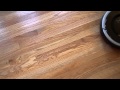 Обзор робота-пылесоса Roomba 800-й серии