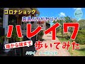 【衰退ぶりがヤバイ！】ハレイワの街を端から端まで歩いてみた【ハワイ　ノースショア】