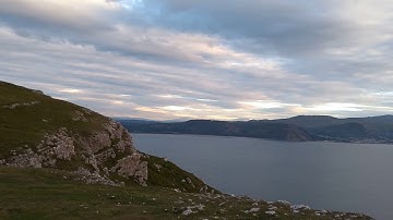 SAS Wildthing wild thing 60" slope soarer