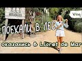 ВЛОГ лес секвойи и что там с пляжем в Lloret de Mar