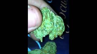 OG kush [HD]
