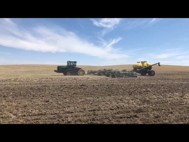 Prospective Plantings Report Shows Wheat, Corn, and Pulse Acres Down in 2026