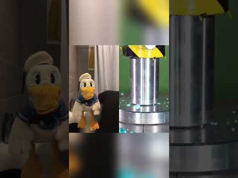 Donald Duck has