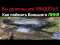 СУПЕР УЛОВИСТАЯ РЫБОЛОВНАЯ НАСАДКА НА ЛИНЯ. Клёв будет всегда.