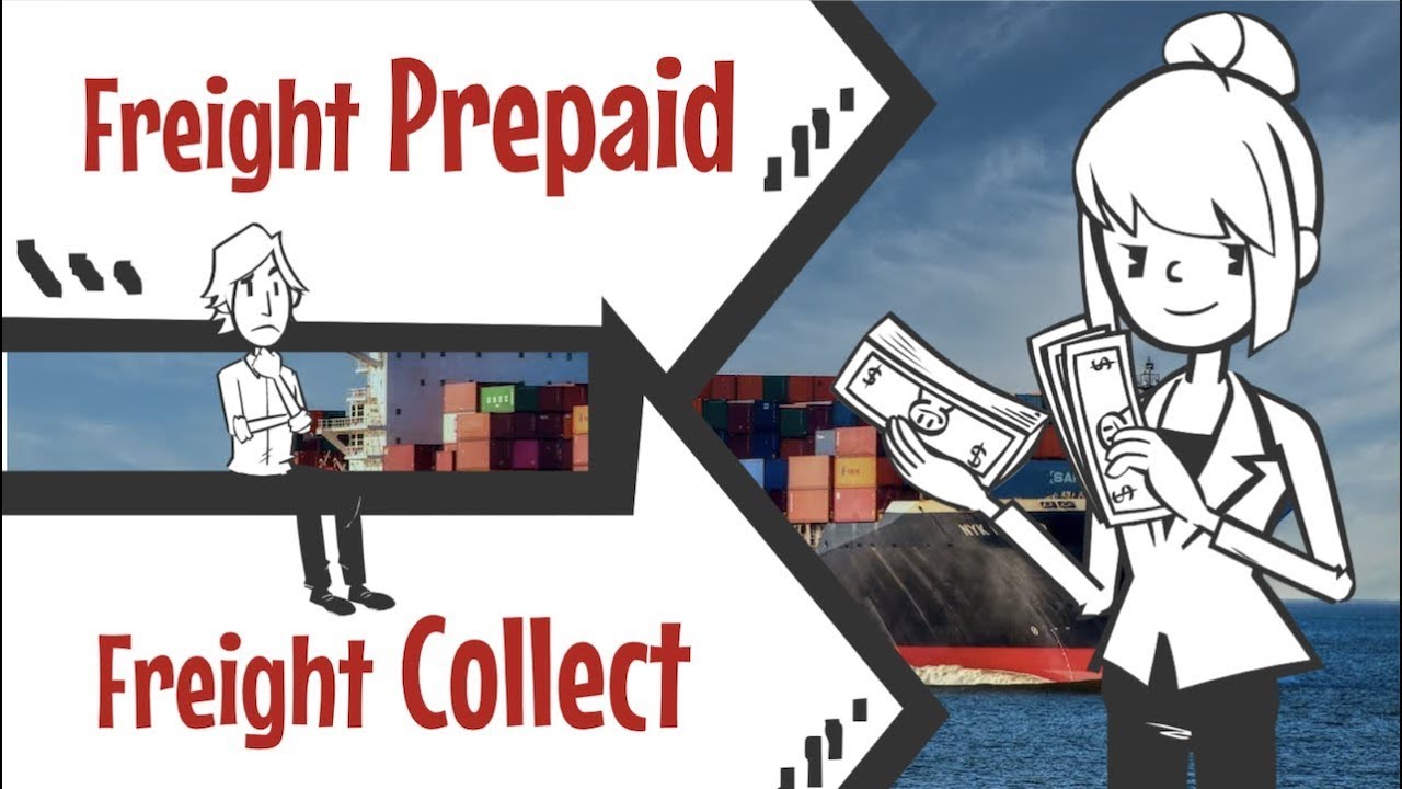 ความแตกต่างระหว่าง Freight Prepaid และ Collect ที่เกี่ยวข้องกับการขนส่งสินค้าโลจิสติกส์