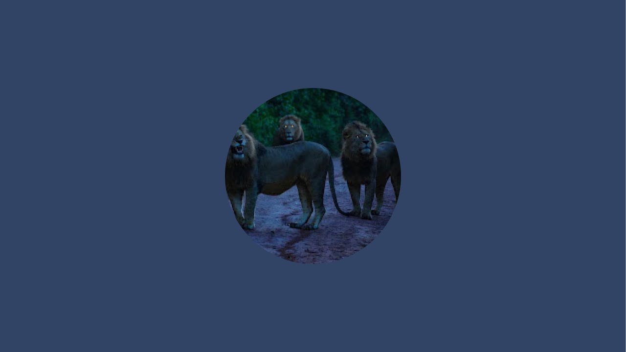 GMS Mississippi Gulf Coast 2 is live!