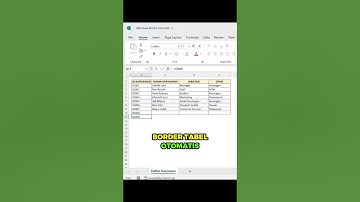 BORDER OTOMATIS DI EXCEL‼️ #belajarexcel #exceltips #excelhacks #exceltutorial #excel #microsoft
