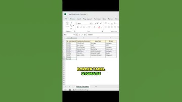 BORDER OTOMATIS DI EXCEL‼️ #belajarexcel #exceltips #excelhacks #exceltutorial #excel #microsoft