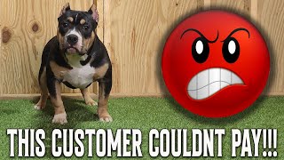 THIS CUSTOMER COMPLETELY WASTED OUR TIME !!!!!! SMH by KILLINOIS KENNELS 4,994 views 4 months ago 4 minutes, 1 second