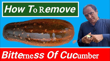 Traditional Methods to Remove Bitterness from Cucumber: Old Proven Techniques